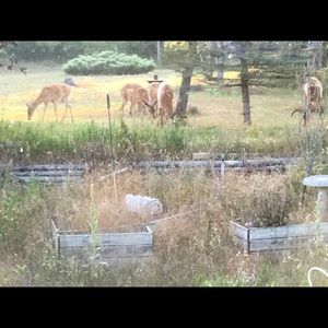 Meet your Posher, Tracy